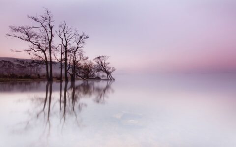 励志名言警句摘抄大全（名言名句优美句子）