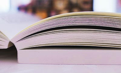 春节期间生产安全应急预案范文