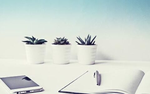 寒假自主学习计划