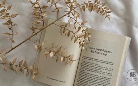 经典古句励志诗词（美到窒息的古典诗句）