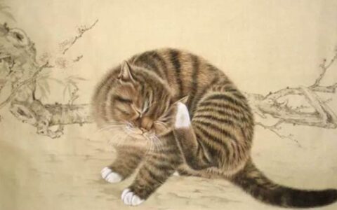 关于猫的诗句古诗（表达对猫的喜爱的诗句）