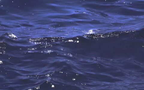 适合摘抄的现代诗简单（很小众却很惊艳的现代诗）