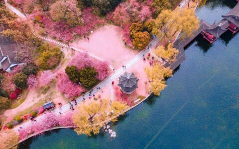 10首上巳诗词，风和日暖，曲水流觞，许你一个诗意的春天