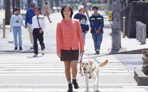 盲人与狗的故事（盲人与狗读后感）