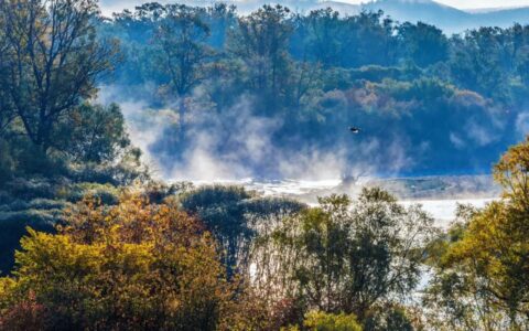 范仲淹最经典的5首宋词，长烟落日，碧云黄叶，每一首都是名作