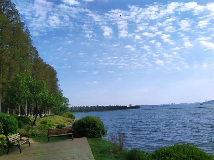 0句名言，带你的灵魂，寻找生命的春光"/