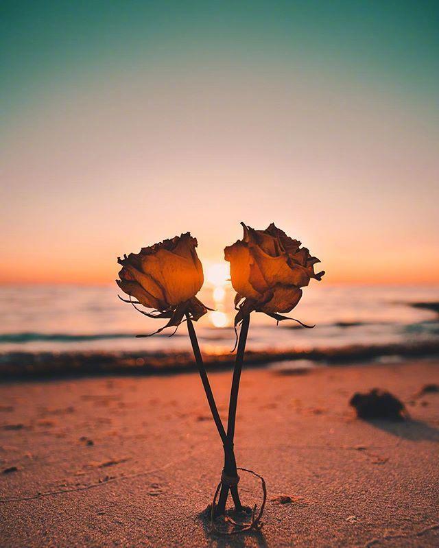 适合静下来看看的人生感悟（精选20条）