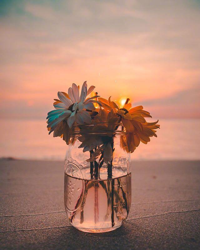 适合静下来看看的人生感悟（精选20条）