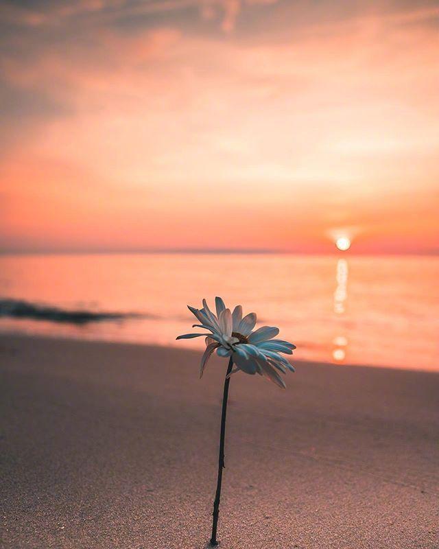 适合静下来看看的人生感悟（精选20条）