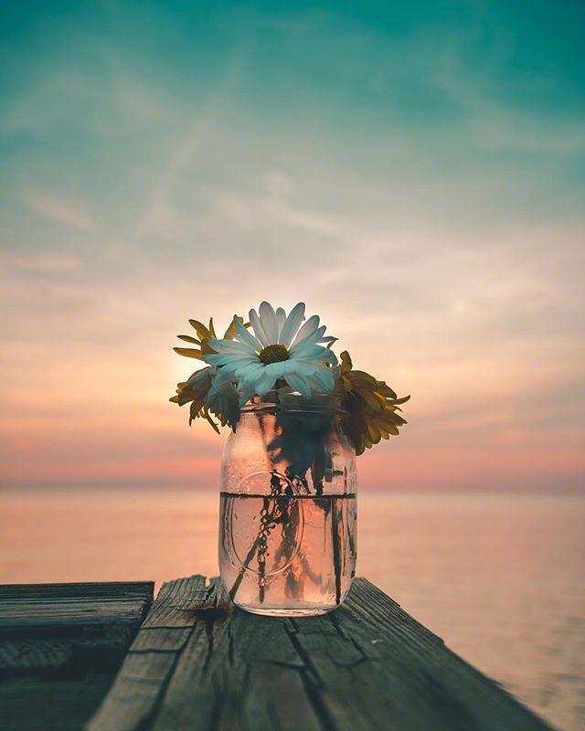 适合静下来看看的人生感悟（精选20条）