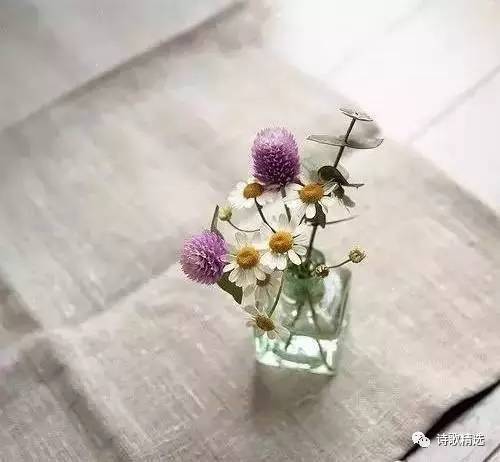 美到心碎的歌词15句，哪一句打动了你