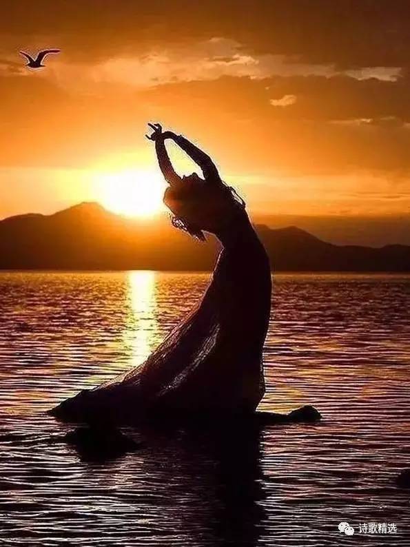 美到心碎的歌词15句，哪一句打动了你