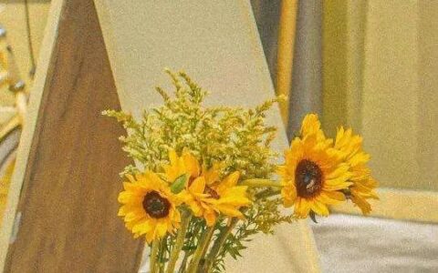 散文：心中有阳光，生活有花香