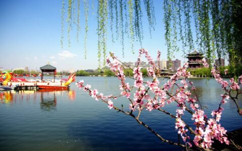 适合春天发朋友圈的诗句，浪漫又唯美