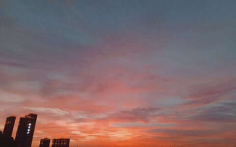 优美散文集摘抄（散文精选句子摘抄）