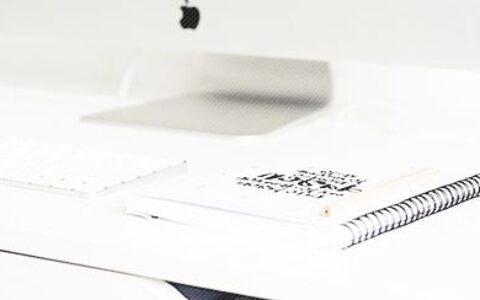 薪水和工作，哪个对你更重要？