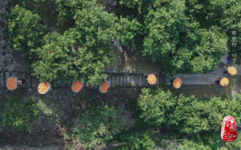 屈原故里在哪里（屈原故里介绍分享）