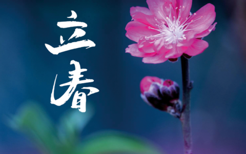 立春诗句古诗大全（关于春天的古诗全部）