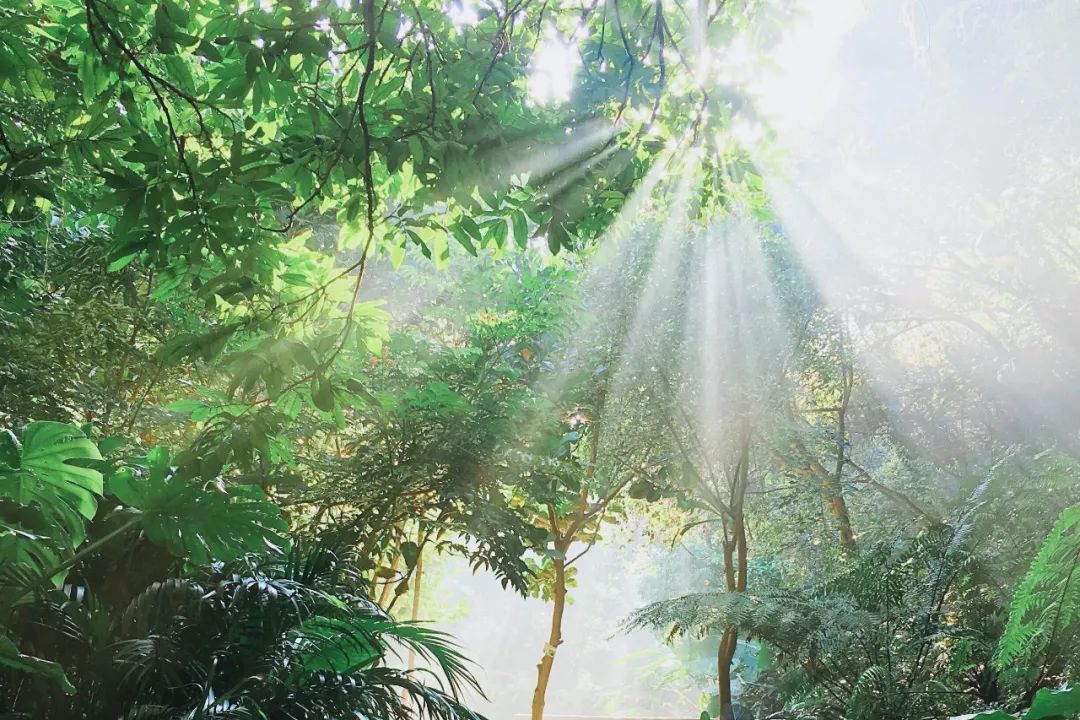 如果你觉得不幸福，就读一读这六首诗词，能让你豁然开朗