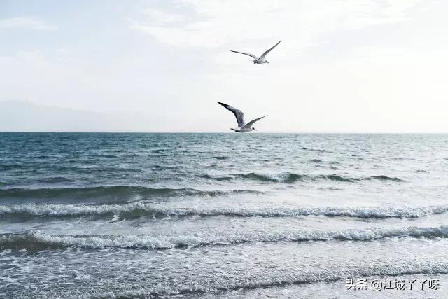 泰戈尔最经典的36句诗，绝美深刻，适合一个人的时候，静静品读