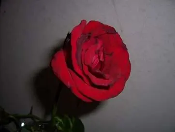 00本书的100句话，句句直刺心底，喜欢就收藏吧"