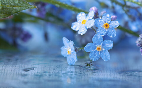 散文，时光浅醉，清风执笔，蘸一缕茶香，墨印日子的欢喜