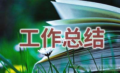 年终个人工作总结范文2篇