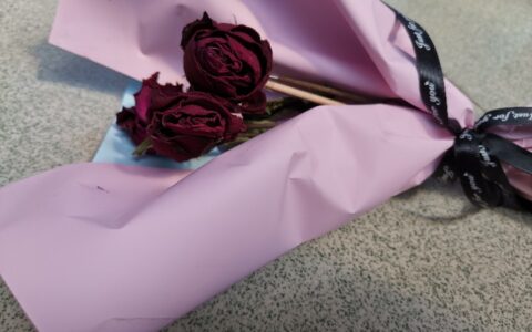 经典散文：张爱玲《一别就是一辈子》