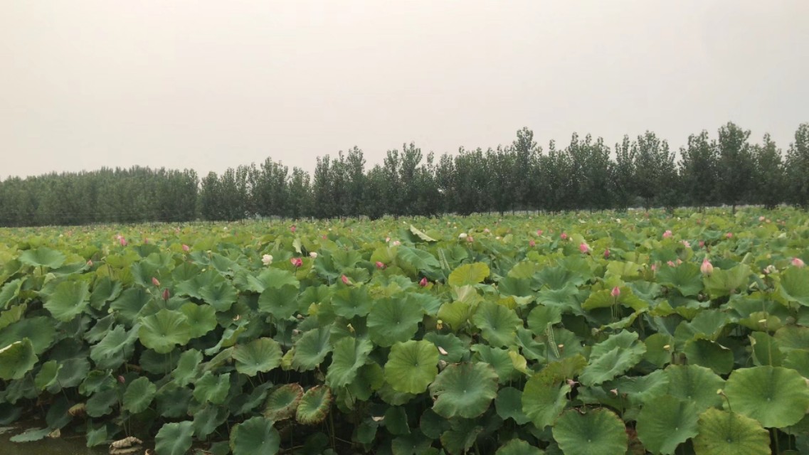 经典美文分享：《假如今天是我生命中的最后一天》