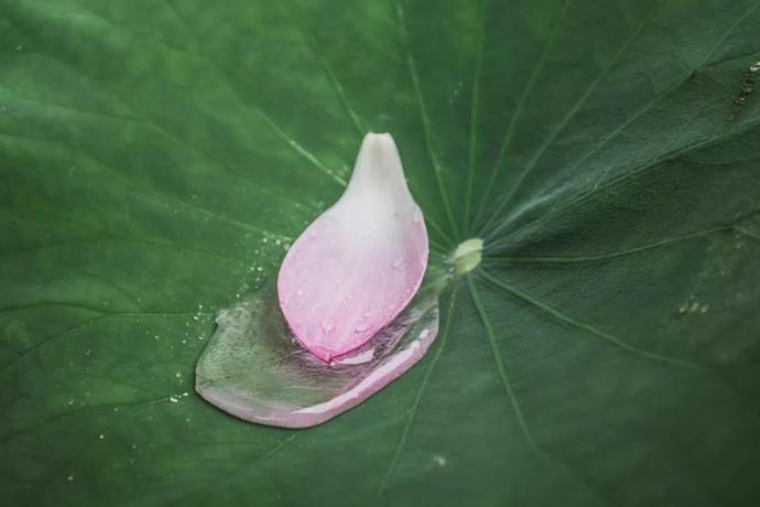 十句诗词，十句誓言，感天动地