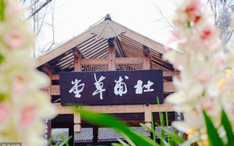 杜甫的爱国诗有哪些（杜甫爱国情怀的诗）