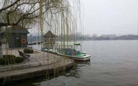 关于春的古诗全部（赞美春天的古诗欣赏）