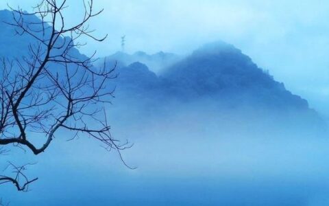 芙蓉楼送辛渐的诗意（芙蓉楼送辛渐表达的情感）