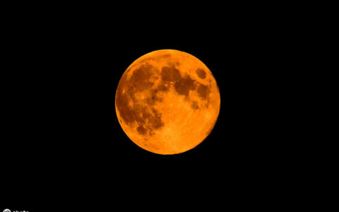 嫦娥李商隐解析（嫦娥古诗原文及翻译）