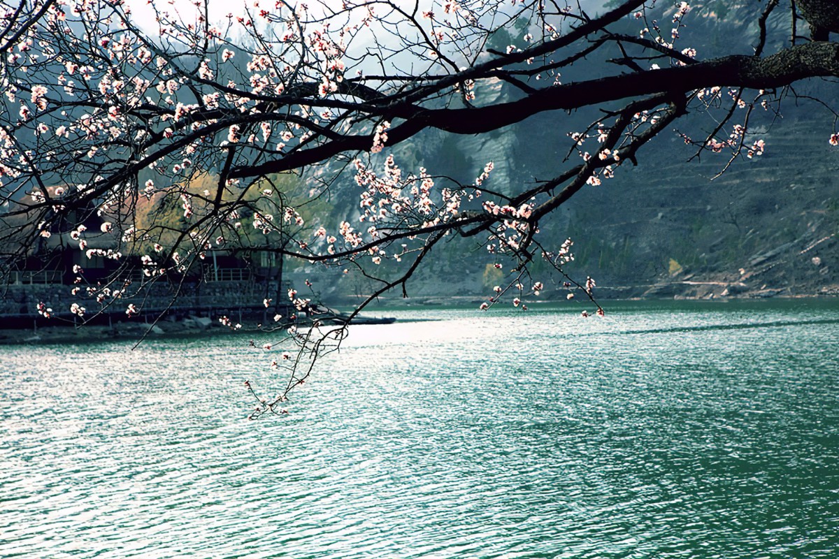 史上精彩动人的8首《虞美人》词排名，前两名伯仲之间，难分高下