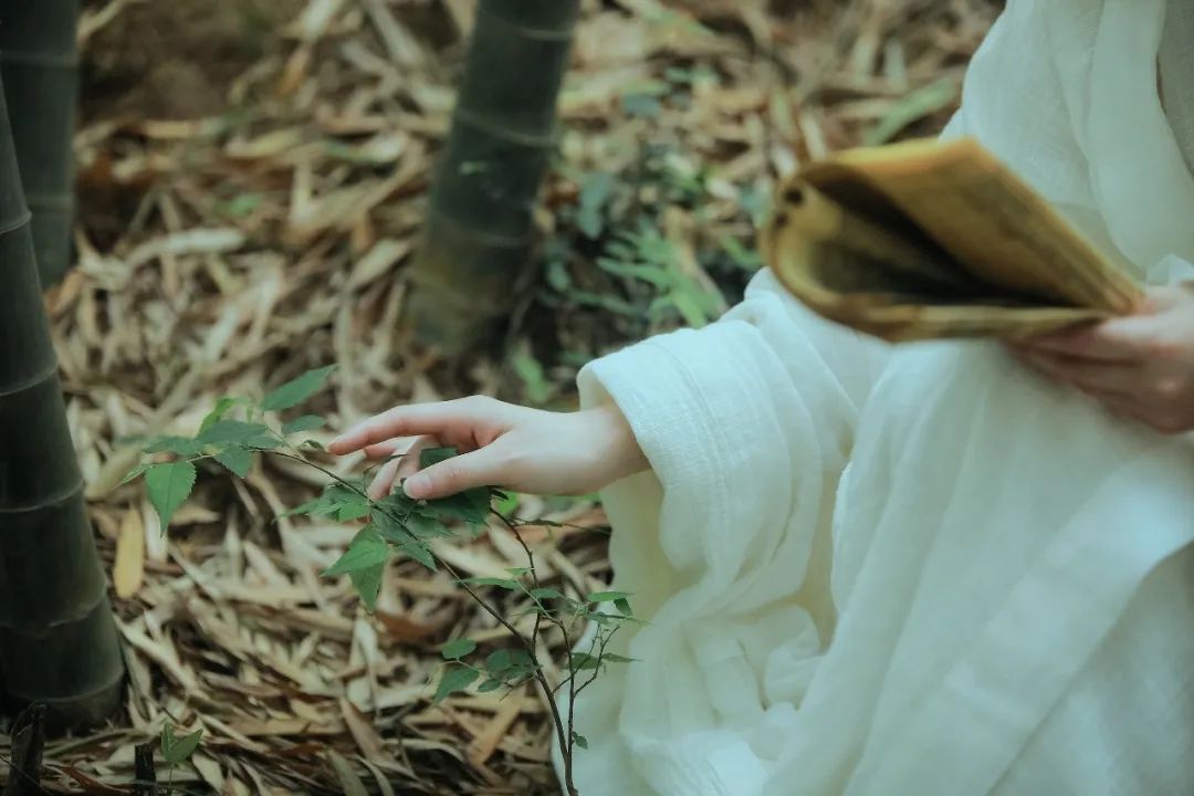 李白最温柔的10首诗词：树深时见鹿，溪午不闻钟