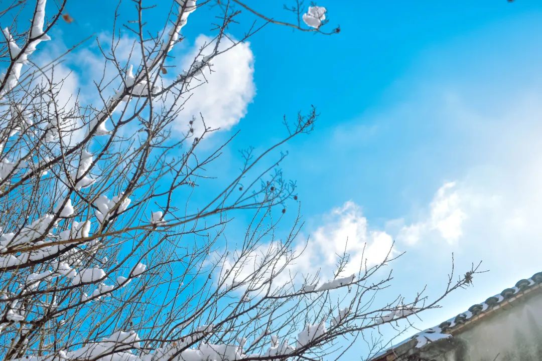 李白最温柔的10首诗词：树深时见鹿，溪午不闻钟