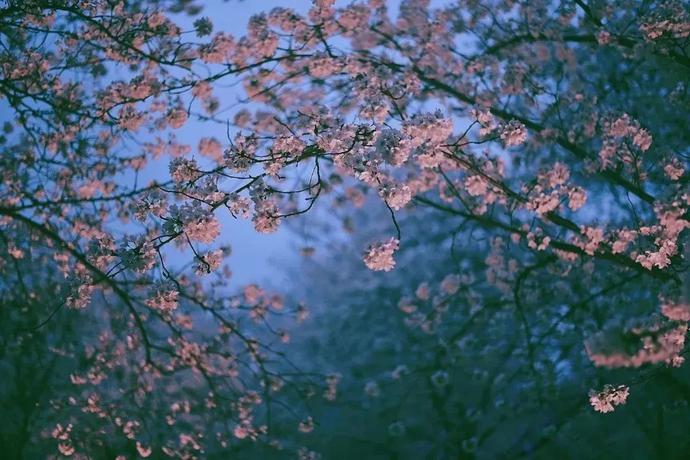 0个绝世金句，句句胜读十年书！"/