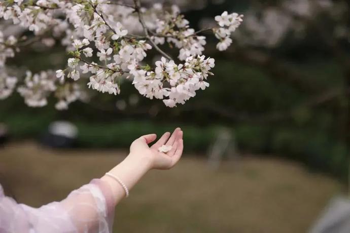 0个绝世金句，句句胜读十年书！"/