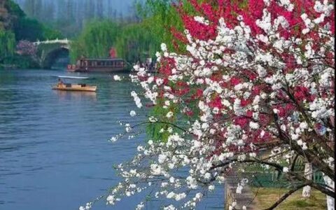 9首描写四月最高艺术水平的古诗词，看看它们的“诗眼”在哪里？￼