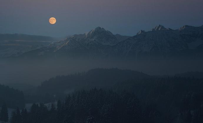 王维诗中的幽静美，短短20字，沉醉了千年的时光！