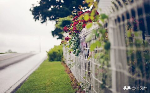 五月唯美句子说说（形容五月的优美句子集锦）