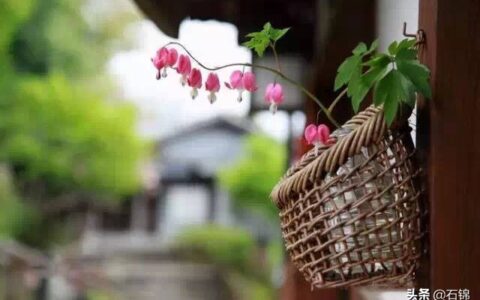 关于幸福的诗歌有哪些（以幸福为主题的小诗）