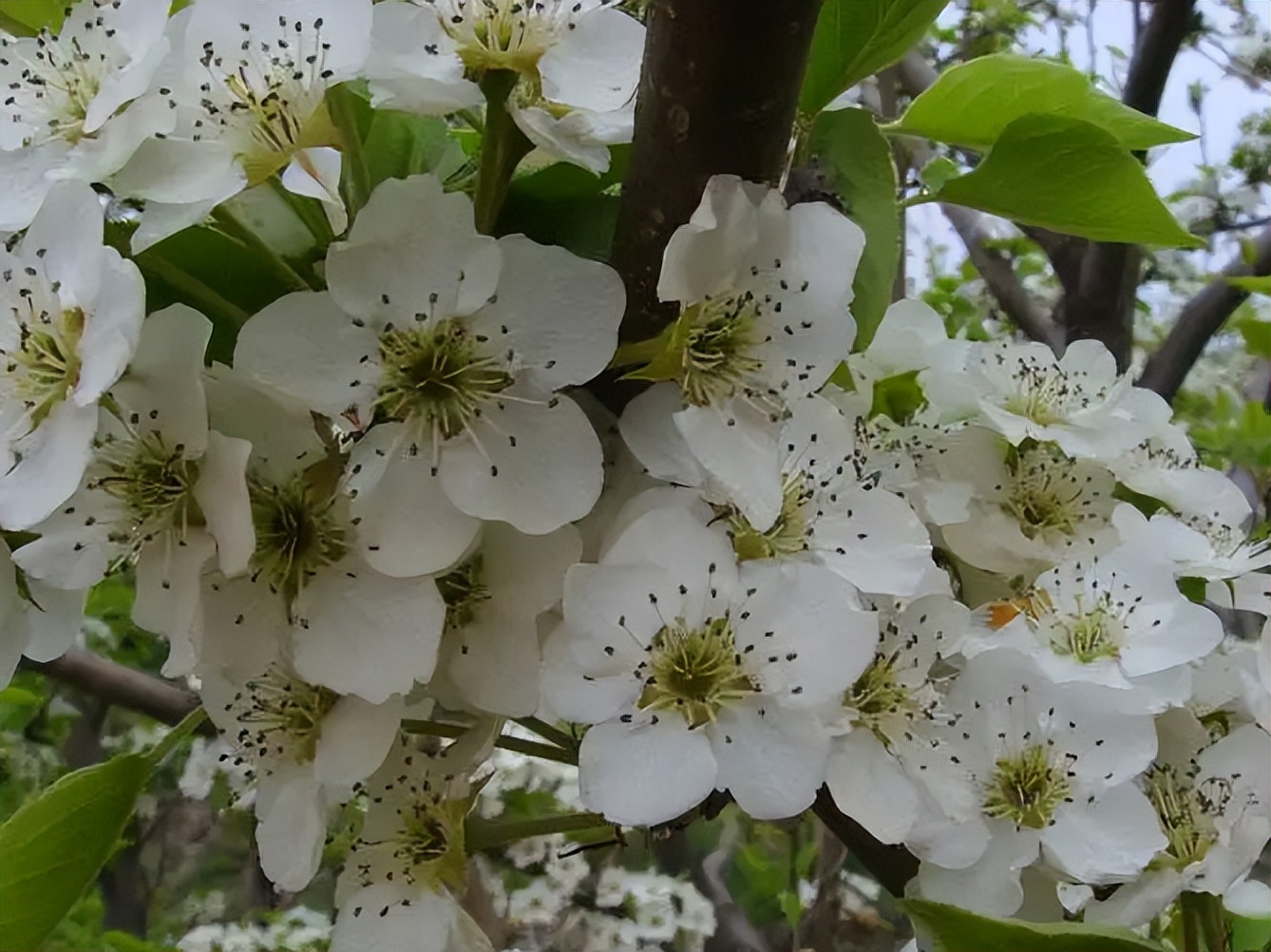 韩愈最经典的8首诗，榜眼是对生命的热爱，榜首满是家国情怀