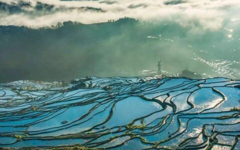 五月最美的诗句有哪些（赞美五月的优美诗句分享）