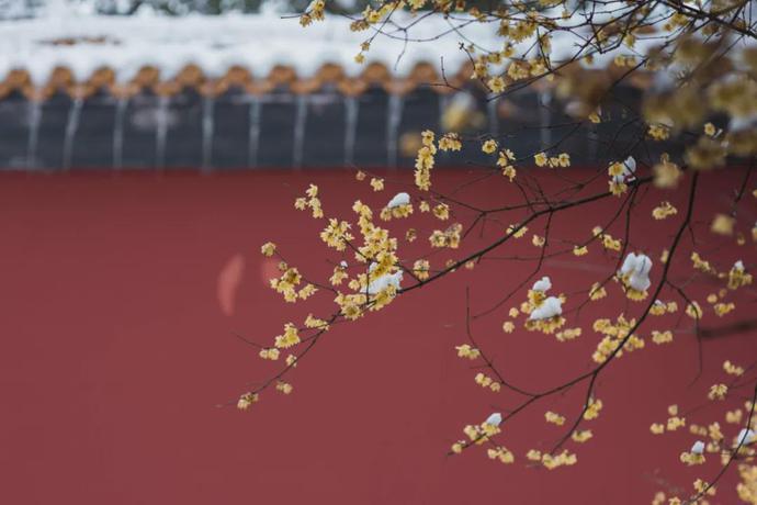 《围炉夜话》20句，处世奇书，句句走心
