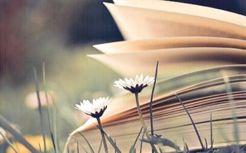 肥胖不仅仅是健康问题