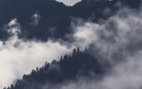 曹植白马篇原文（白马篇原文及翻译）