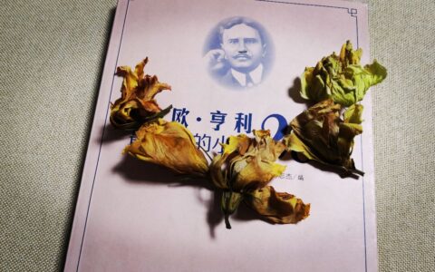 最后的常春藤叶原文阅读（最后的常春藤叶贝尔曼）