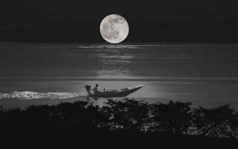 唐诗望月怀远（望月怀远古诗赏析）